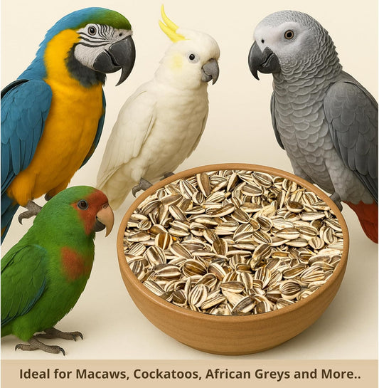 Nemeth Farms – 5 Lb Bag, Premium Large Gray Striped & Air Cleaned Sunflower Seeds, Natural Bird Food for Parrots, Cockatiels, Parakeets, Finches & Wild Birds, Non-GMO, Feeder-Ready & Plantable
