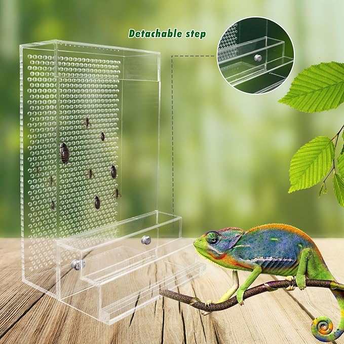 Bearded Dragon Feeder, Chameleon Bug Bowl Kit with Steps, Transparent Acrylic Reptile Large Insect Box, Tank & Aquarium Accessories for Reptile Lizard Gecko Frog - 8.2 × 4.3 × 4.7 Inch