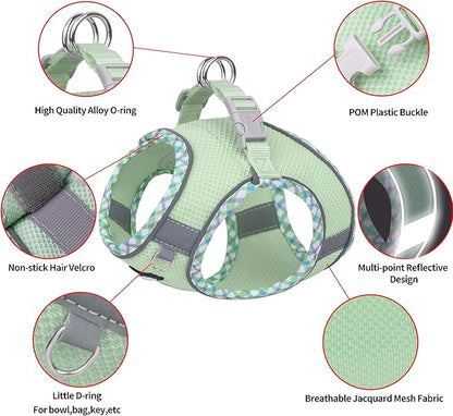 AIITLE Dog Harness and Leash Set - Ultra-Comfortable XXS-XL Vest with Strong Magic Tape & Glow-in-Dark Reflective Strips, Chafe-Free for Teddy, Schnauzer (Sage, M)