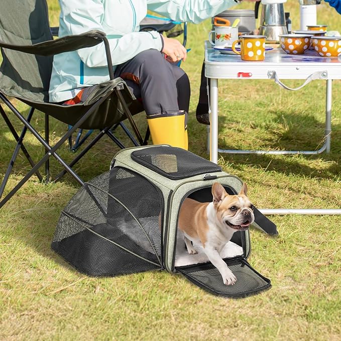 Petsfit Expandable Cat Carrier Dog Carrier, Soft-Sided Collapsible Portable Pet Carrier, 19x12x12, Green