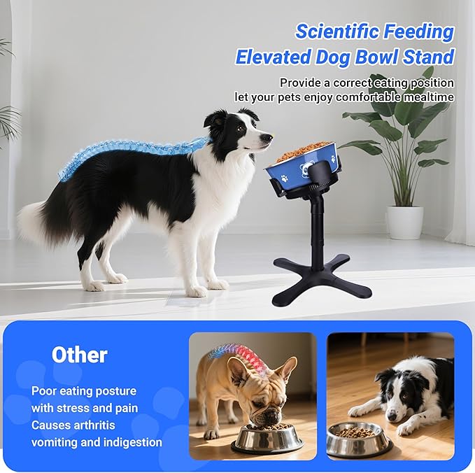 Dog Bowls,Elevated Adjustable Dog Bowl Stand with 3 Heights & Tilted Feeding Design, Raised Stand Compatible with Medium & Large Breeds(with Stainless Steel Bowls-Black)