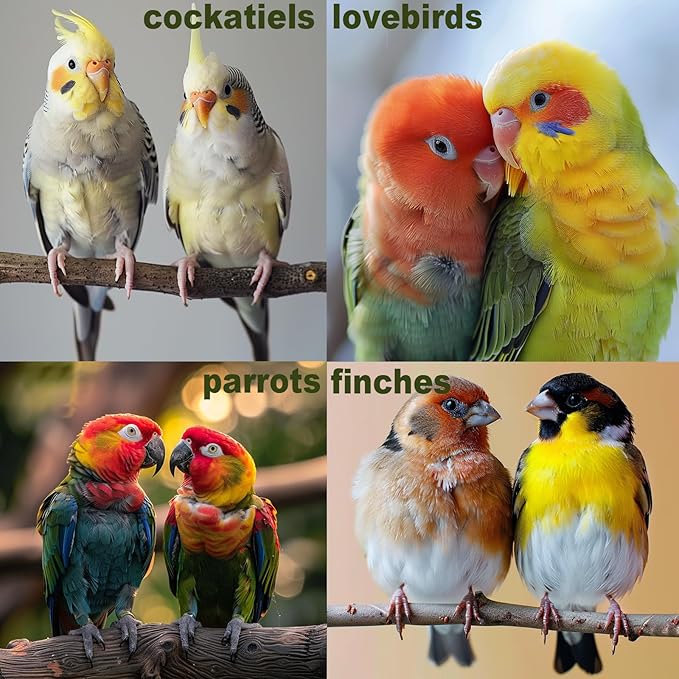 Bird Toys for Parakeets 7Pcs, Wood Parrots Budgie Cage Accessories, Bird Perch Swings for Small Conure Cockatiel Toys, Bird Ladder Swing for Parakeets Climbing 18''