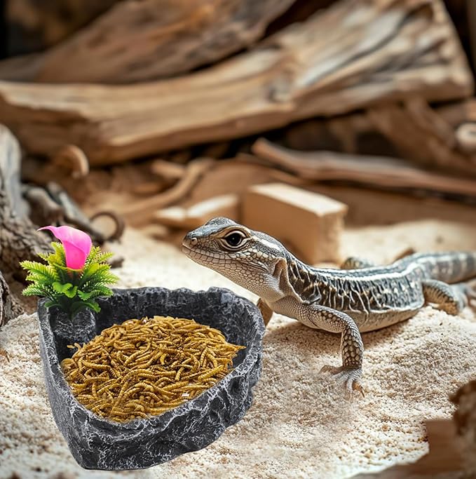 Reptile Water Dish Food Bowl,Corner Rock Terrarium Feeding Bowl Hermit Crab Water,Reptile Feeder Food and Water Dish,Tortoise, Lizard, Gecko, Chameleon, Bearded Dragon