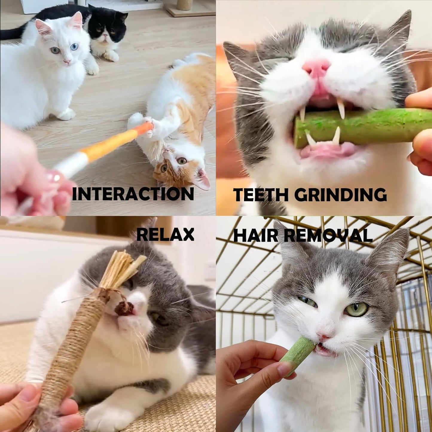 6Pack Cat Toys Cats Grass Treat Catnip Toy with Silvervine for Indoor Kitten Toys Wood Kitty Chew Rope Grass Sticks for Teeth Cleaning Kitten Snack for Catnip Dental Care Self Play
