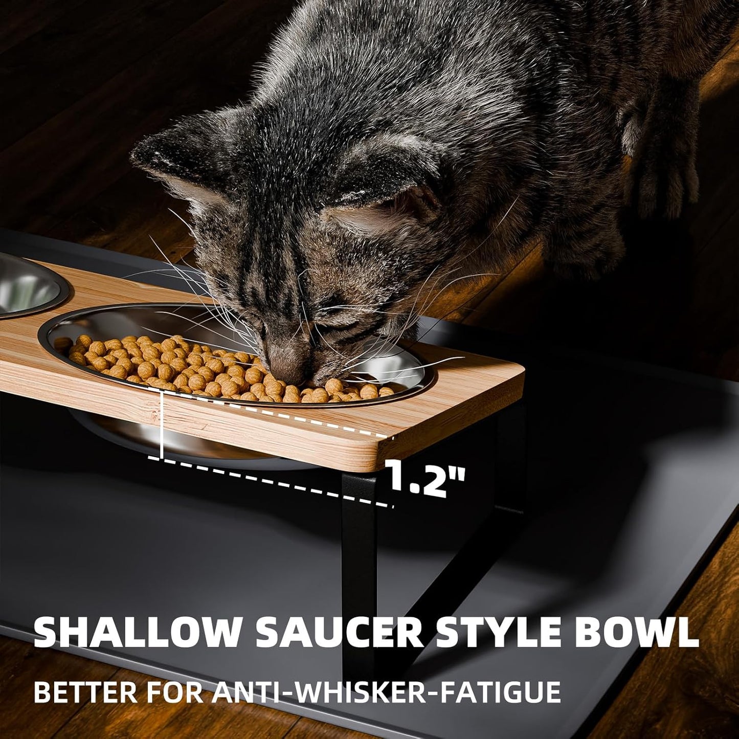 Elevated Whisker Friendly Cat Bowls, 15 Tilted Stand Anti Vomiting Raised Dishes for Food and Water, Stainless Steel Bowls for Cats and Puppy
