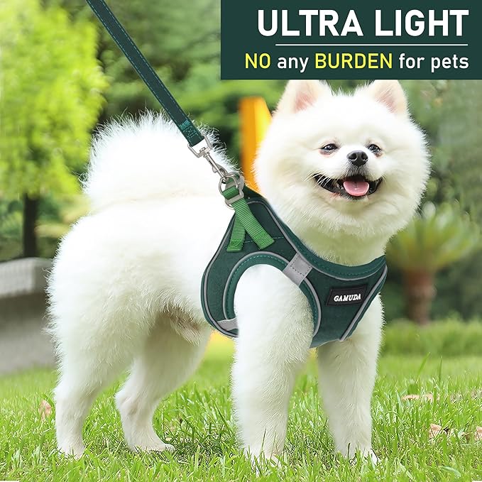 GAMUDA Small Pet Harness Collar and Leash Set, Step in No Chock No Pull Linen Fabric Soft Mesh Dog Vest Harnesses Reflective for Dogs Puppy Cats Kitten Rabbit (Green, S)