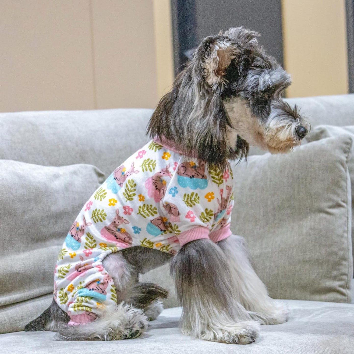 CuteBone Small Dogs Outfit Soft Puppy Onesies Pjs Dog Pajamas Pet Coat Cat Apparel Comfy Doggie Jumpsuit Bodysuit for All Seasons P286S