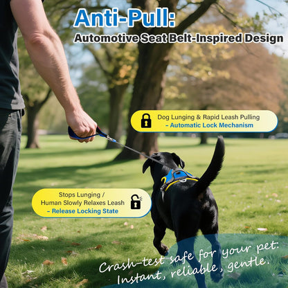 No Pull Dog Harness, 2 in 1 Retractable Harness with Auto-Lock, Reflective Breathable Mesh and Handle, Adjustable Leash Set for Small, Medium,Large Dogs,Cats (Color 2, L)