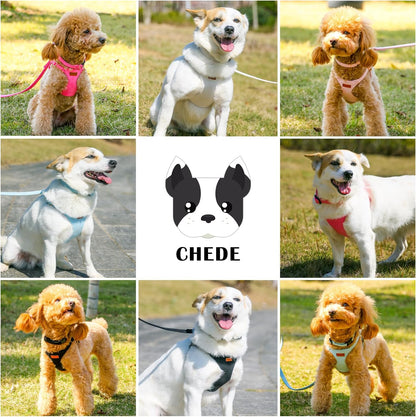 No Pull Dog Harness- Lightweight, Soft, Adjustable Small Harness Collar and Leash Set, Suitable for Cats Puppy Small and Medium-Sized Dog Outdoor Training and Running