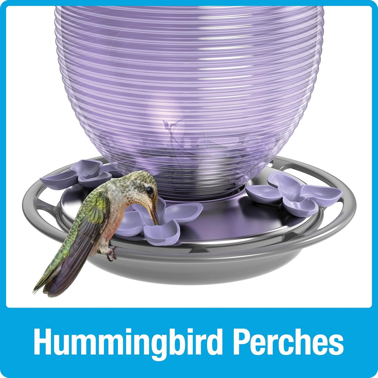 Nature's Way Hanging Glass Hummingbird Feeder for Outdoor Decor, 29 Ounce Capacity Nectar Feeder, 4 Easy to Clean Flexible Ports, Purple Lilac