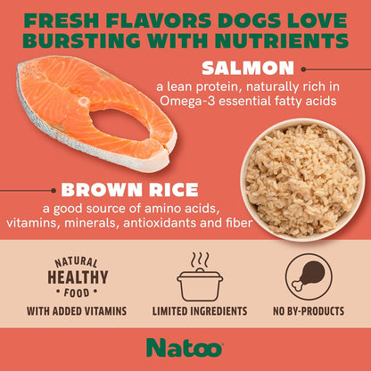 NATOO Dog Food Topper for Picky Eaters & Dog Treat (Salmon with Brown Rice), Dog Toppers for Dry Food, Wet Meal Toppers for Dogs & Puppies, Limited Ingredient Dog Food, 3 oz (Case of 20)