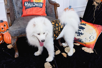 Aiboria Winter Dog Coat Windproof Fleece Jacket with Chest Strap Dog Vest Harness Halloween Black S