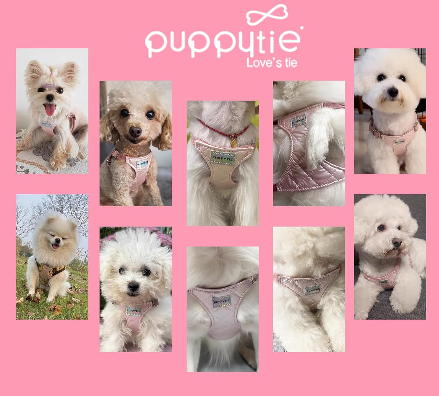 No Pull xs Dog Harness with Multifunction Dog Leash,Soft Adjustable No Choke Escape Proof Pet Harness Vest,Glossy Pink,XXS