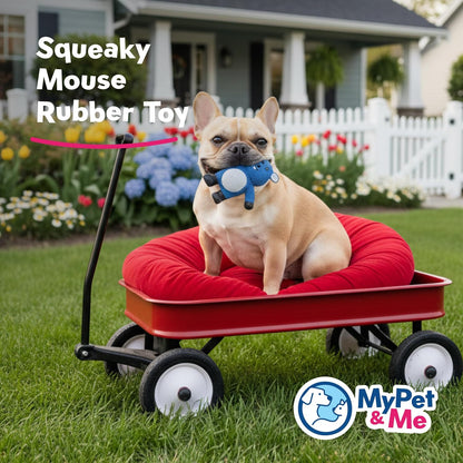 My Pet & Me - Squeaky Dog Toys for Light to Moderate Chewers - Fun Latex Toys for Puppies, Teething, and Gentle Play - Interactive Fetch and Chew Toy with Squeaker (Blue Mouse, 4.3 Inch)