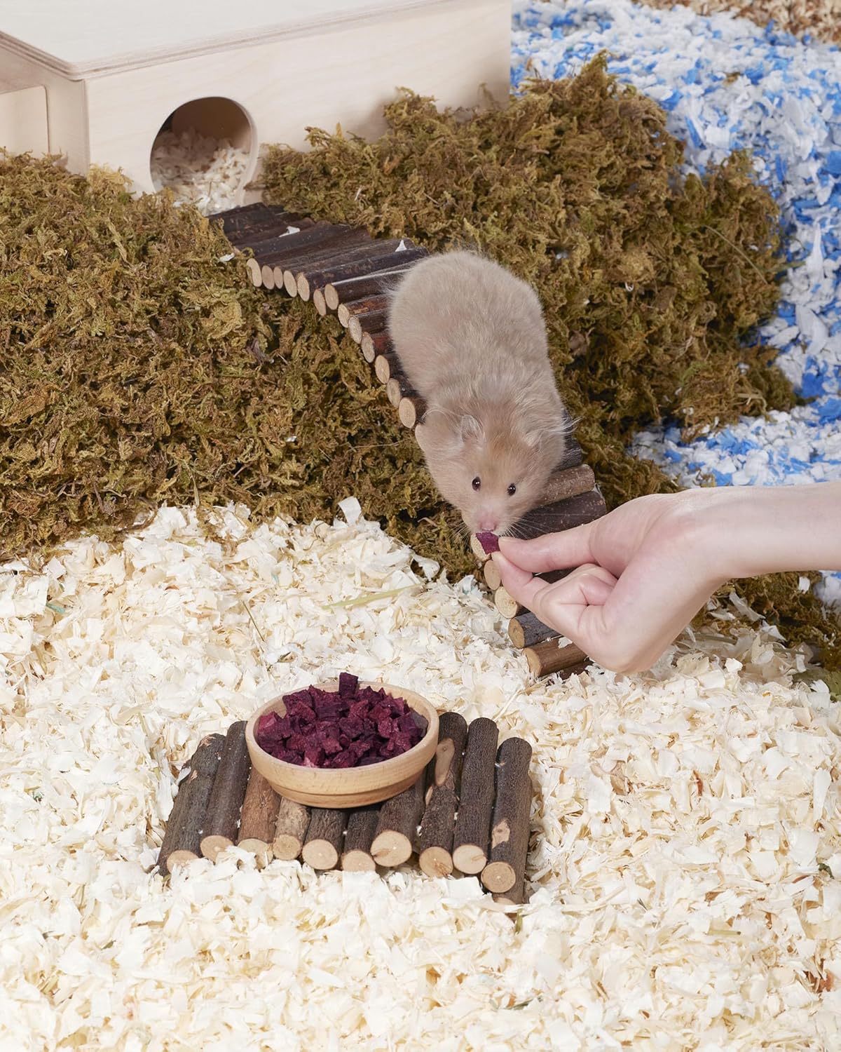 Niteangel Hamster Snack & Treats Toy - Small Animal Natural Treat for Dwarf Syrian Robo Hamsters Gerbils Mice Lemmings Degus or Other Small-Sized Pets (Freeze-Dried Beetroot)