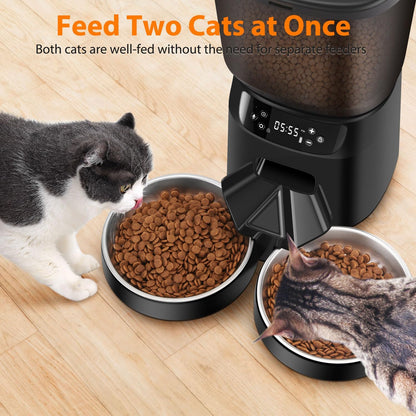 Automatic Cat Feeder and Water Fountain, 5L/20 Cups Timed Cat Dry Food Dispenser, 10s Meal Call, 20 Portions 6 Meals Per Day, 2L Cats Fountains for Drinking with Filter, Pet Feeder for Dog Black