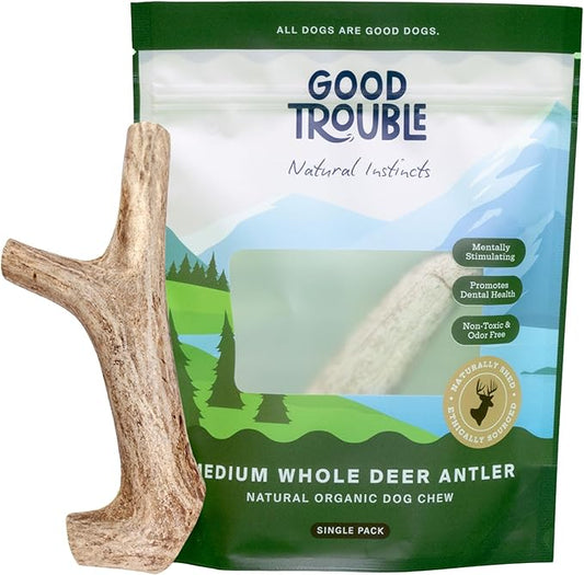 Good Trouble Premium Deer Antlers for Medium Dogs – 1 Whole Antler Pets - North American Sourced for Dental Health & Anxiety Relief - Odor-Free & Non-Toxic Chew Bone for Dogs