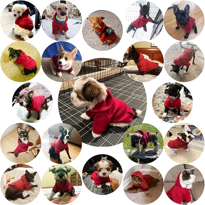 Jecikelon Winter Dog Hoodie Sweatshirts with Pockets Warm Dog Clothes for Small Dogs Chihuahua Coat Clothing Puppy Cat Custume (Wine red, Medium)