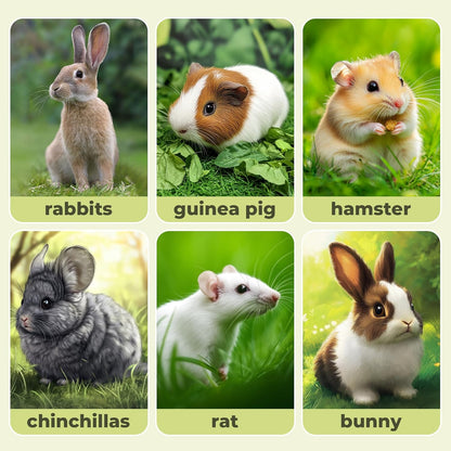 Alfalfa Sticks 250g Natural Molar Wood Treats Toys for Small Animals, Rabbits, Guinea Pig, Bunny, Hamster, Rat, Chinchillas