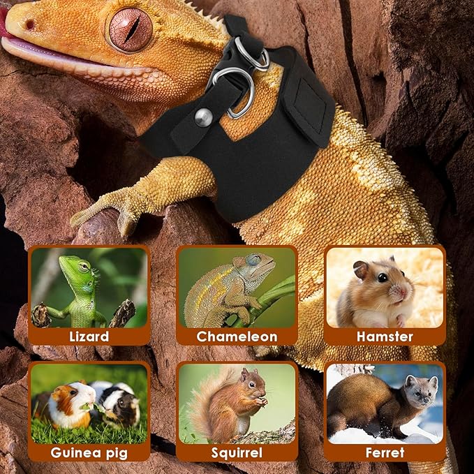 3 Pcs Bearded Dragon Harness and Leash Set, 3 Sizes Adjustable Soft Leather Lizard Harness with Leash, Small Animal Traction Rope Training Walking Vest for Bearded Dragon Lizard Squirrel (Black、)