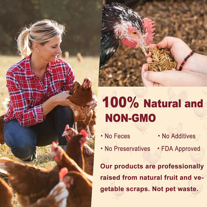 Black Soldier Fly Larvae for Chickens, Non GMO High Calcium BSF Larvae Fly Grubs Than Dried Mealworms for Turkeys, High Protein Chicken Treats for Laying Hens, Natural Wild Bird Food 10LB (2.5LB * 4)