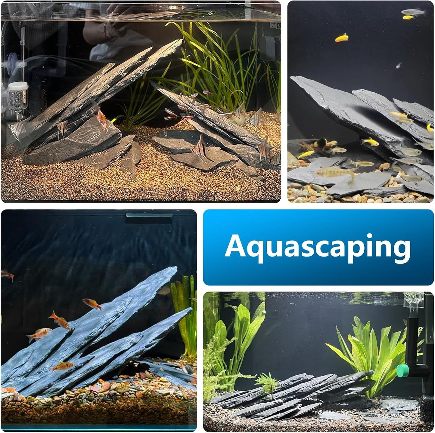 Aquarium Rocks 10lb Natural Slate Rock for Aquarium Landscaping for Terrariums, Reptile Habitats & Creative Aquascaping-3 to 8 Inches