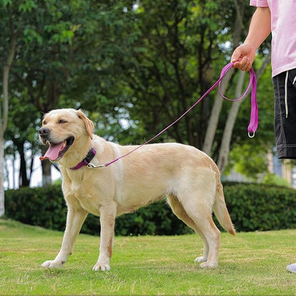 Waterproof Dog Leash, 5/6 FT Durable Odor-Proof Dog Leashes with Strong Metal Hooks Fits Small Medium or Large Dogs (Purple, 5FT - 3/4 inch Width)