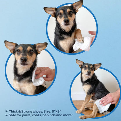 Best Pet Supplies Pet Grooming Wipes for Dogs & Cats,Deodorizer for Coats & Dry, Itchy, or Sensitive Skin, Clean Ears, Paws, Body, & Butt - Cleansing, Tea Tree, 400 Count