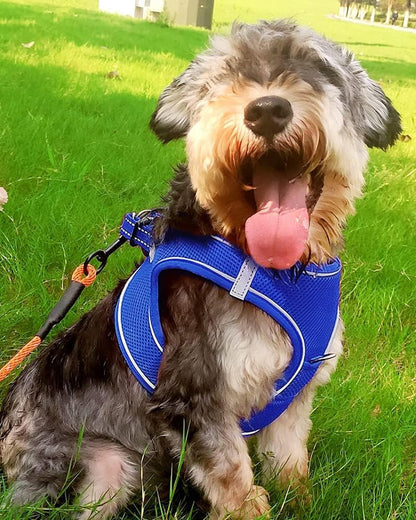 Joytale Small Dog Harness, Breathable Mesh Step-in Vest, Reflective Soft Padded Harnesses for Small and Medium Dogs, Navy Blue, L