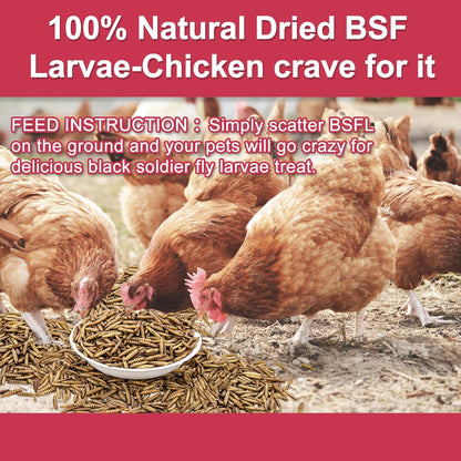 10LB Dried Black Soldier Fly Larvae for Chickens, Non GMO 86X More Calcium BSF Larvae Than Mealworms for Chickens & Birds, Natural Chicken Feed Bulk, Chicken Worms Treats, Wild Birdseed Attractant