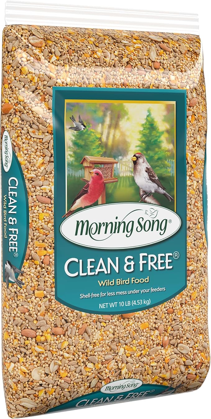 Morning Song Clean & Free Shell Free Wild Bird Food, Premium No Mess Bird Seed for Outside Feeders, 10-Pound Bag