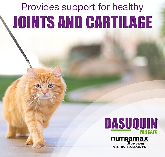 Nutramax Laboratories Dasuquin Joint Health Supplement for Cats - With Glucosamine, Chondroitin, ASU, Boswellia Serrata Extract, and Green Tea Extract, 84 Capsules