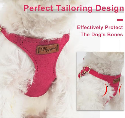 Puppytie No Pull Small Dog Harness with Multifunction Dog Leash,Lightweight Soft Adjustable No Choke Escape Proof Pet Harness Vest Pet Harness Vest,red,S