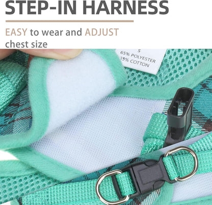 PUPTECK Adjustable Dog Harness Collar and Leash Set Step in No Pull Pet Harness for Small Medium Dogs Puppy and Cats Outdoor Walking Running, Soft Mesh Padded Reflective Vest Harnesses, Lake Green XS