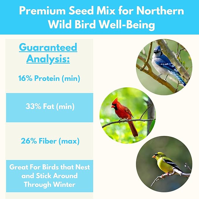 Premium Sunflower Select Bird Seed by Freebird - Black Oil Sunflower Seeds, Sunflower Kernels, Safflower Seeds - Finch and Songbird Wild Bird Seed for Outside Feeders - 6lb Bag