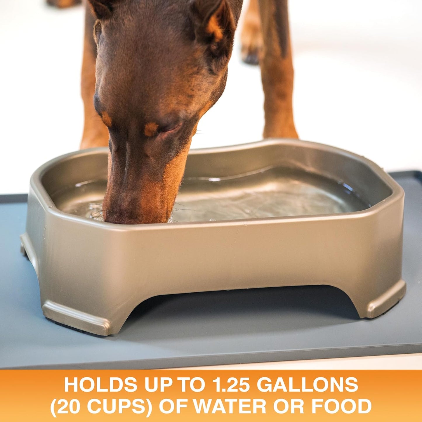 Neater Pet Brands Large Water Bowl for Dogs, Outdoor Dog Water Bowl (1.25 Gallon Extra-Large Capacity), Big Trough Style Food Dish for Indoors or Outside, No Spill Large Dog Bowls, Champagne