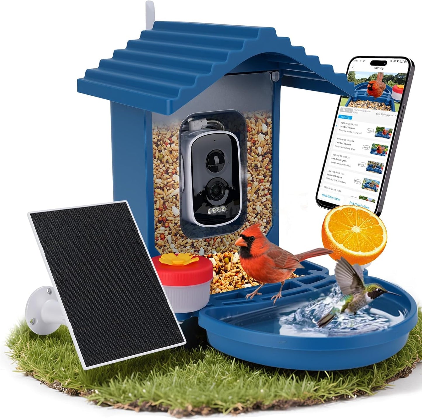 Bird Feeder with Camera Solar Powered,2.5K HD Video Bird House Live View,Smart AI Bird Species Identification for Outside Garden,Birds Bath,Ideal Gift for Birds Lover,Hummingbird (Blue)