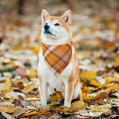 ADOGGYGO Fall Dog Bandanas 2 Pack, Halloween Thanksgiving Holiday Pet Scarf, Multiple Sizes Offered, Orange Plaid Fall Bandana for Medium Large Dogs (Large)
