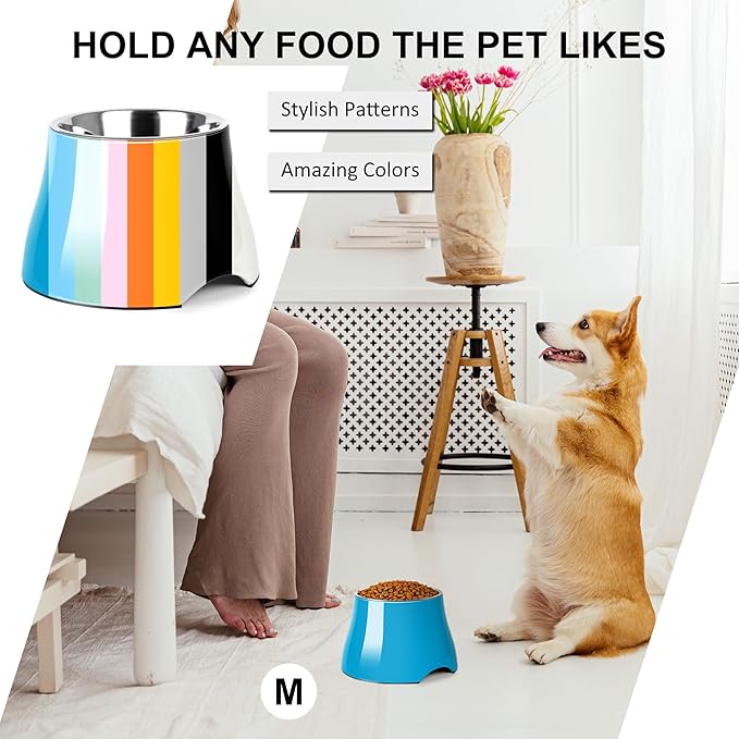 Dog Bowls,Cone Friendly Non Slip Single Dog Bowl with Stainless Steel Inner, Raised Bowls for Small Dogs Spaniel Dogs Long Ear, High Capacity, M/2 Cup Blue