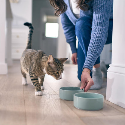 Petivity Microbiome Analysis Kit — Comprehensive for Cats and Dogs, Powered by Purina