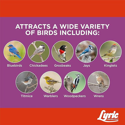 Lyric Delite High Protein Wild Bird Seed Suet Cakes for Wild Birds, 12 oz. (12 Pack)