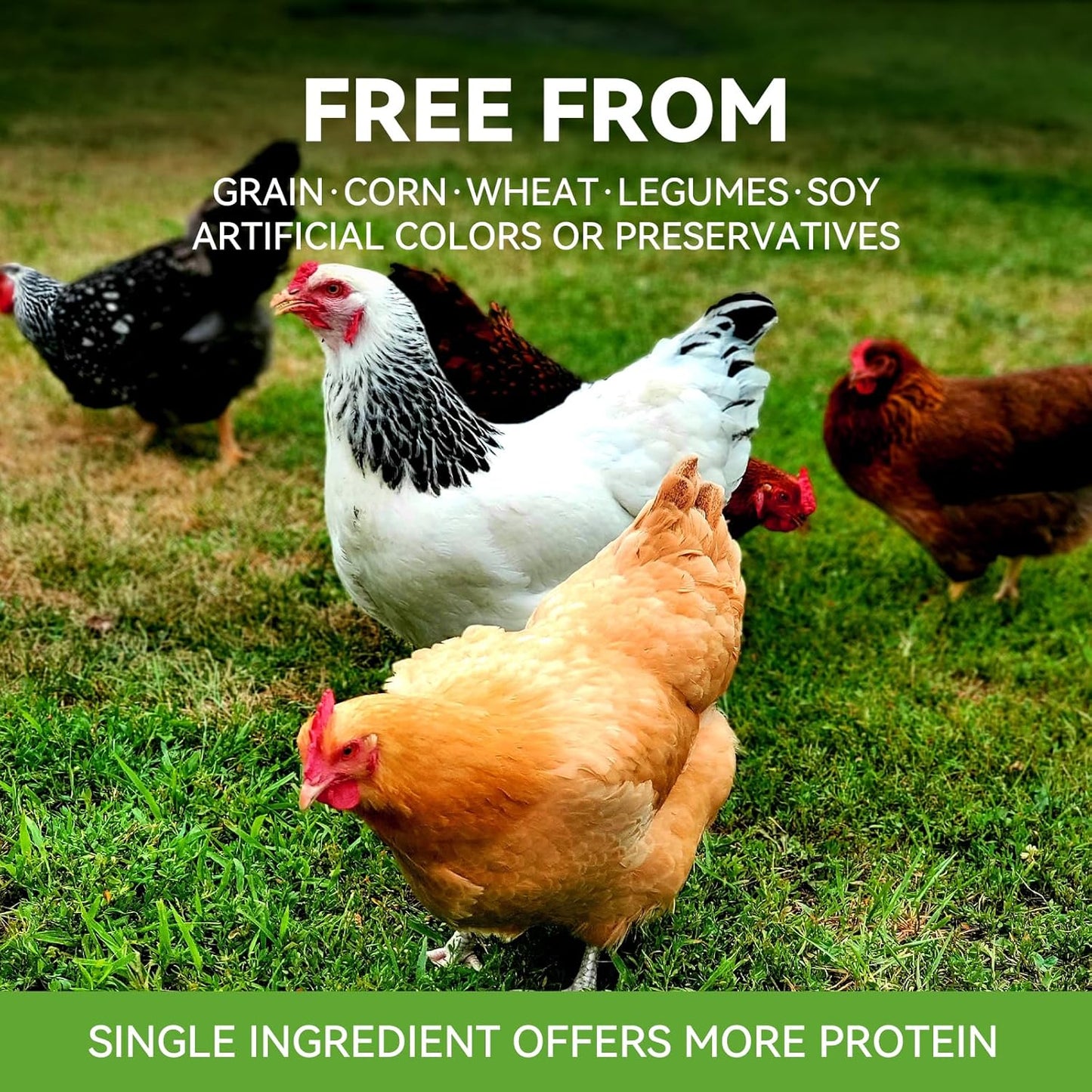 OPET Freeze Dried Chicken Breast Cat Treats for Cats & Dogs，Single Ingredient Grain Free High Protein Pet Food，Healthy Training Snacks ，(Chicken Breast-1.48 Ounce)