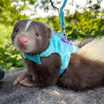 Ferret Leash and Harness Set, Dinosaur Design Small Animal Harness with Leash, Adjustable & Escape-Proof, Soft Plush Comfort for Rabbits, Kitten, Bunny, Hedgehog (Blue)