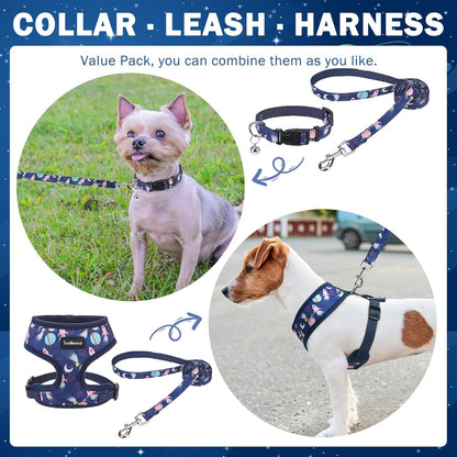 SCENEREAL Small Dog Harness Collar and Leash Set, Adjustable No Pull Pet Harnesses, No Chock Soft Mesh Step in Vest for Doggie Puppy Medium Dogs Cats Girl or Boy,Chihuahua, Yorkie, Outdoor Walking