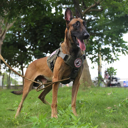 ICEFANG Tactical Dog Harness, Large Size,2X Metal Buckle,Working Dog MOLLE Vest with Handle,No Pulling Front Leash Clip,Hook and Loop Panel (Green,L (Pack of 1))