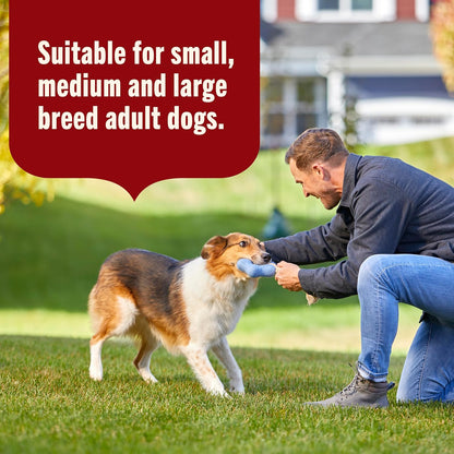 Nutrish Real Beef & Pumpkin Recipe Whole Health Blend Premium Paté Wet Dog Food, 13 oz. Can, 12 Count, Packaging May Vary (Rachael Ray)