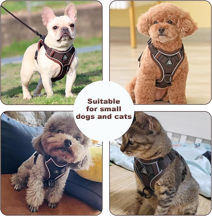 SOLMOONY Small Dog Harness,Soft Mesh Puppy Harness and Leash Set,No Escape Cat Harnesses for Training Walking,Reflective Adjustable Puppy Vest for Small Medium Dogs, Cats (Brown, L)
