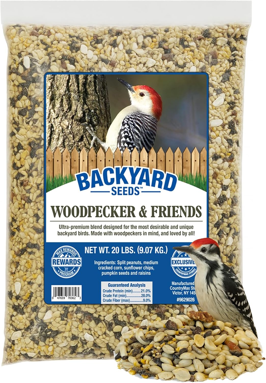 CountryMax Backyard Seeds Woodpecker No Waste Mix Shelled Peanuts Mixed Bird Seed with Sunflower Chips, Pumpkins, Raisins (20 Pounds)
