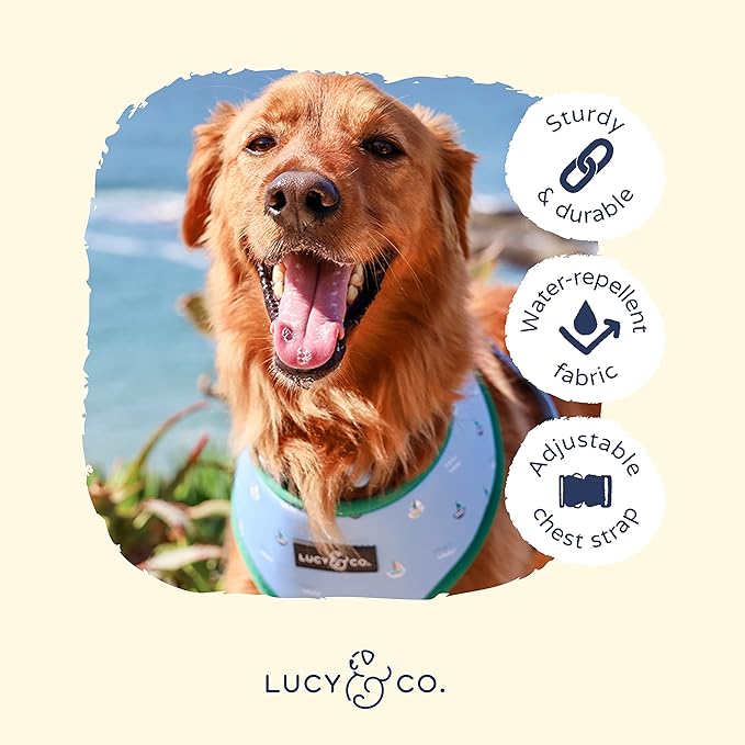 Lucy & Co. Set Sail Reversible Harness, Walking Halter - Best Designer Pet Harnesses for Large Dogs - Padded Adjustable Vest for Easy Walking, X-Large, Blue & White Stripes & Sailboats