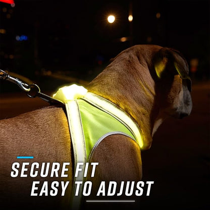 Noxgear LightHound – Revolutionary Illuminated and Reflective Harness for Dogs Including Multicolored LED Fiber Optics (USB Rechargeable, Adjustable, Lightweight, Rainproof) (Small)